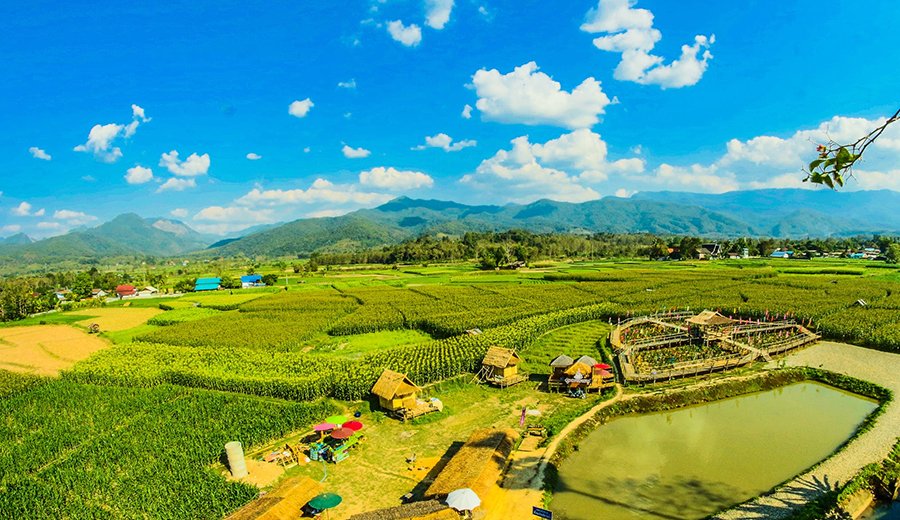 sustainbale investing indonesia