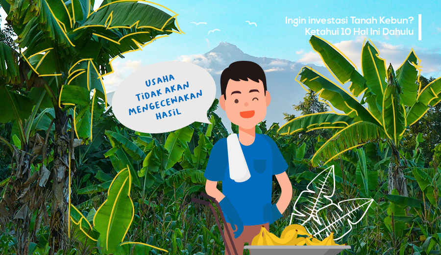 Memahami lebih dalam tentang Investasi lahan kebun agar tidak salah investasi.